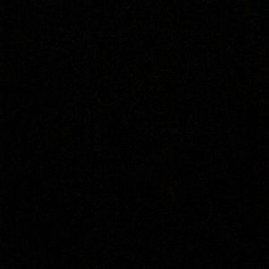 Meet your Posher, Will